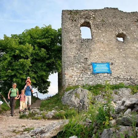 Monusse Boid 15